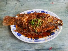 罗非鱼-文婷沾片子