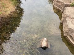 -宜兴龙背山森林公园