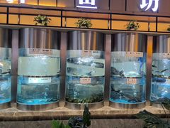 -老船舫·现做活鲜鱼馆(东郊记忆店)