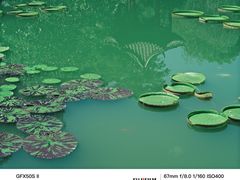 -云溪植物园