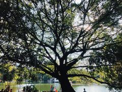 -晓港公园