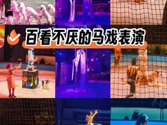 -上海马戏城