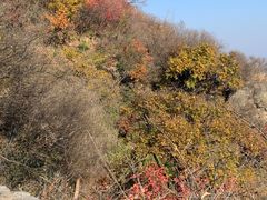 -香山公园