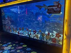 -烟台海昌鲸鲨海洋公园