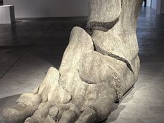 -上海油画雕塑院