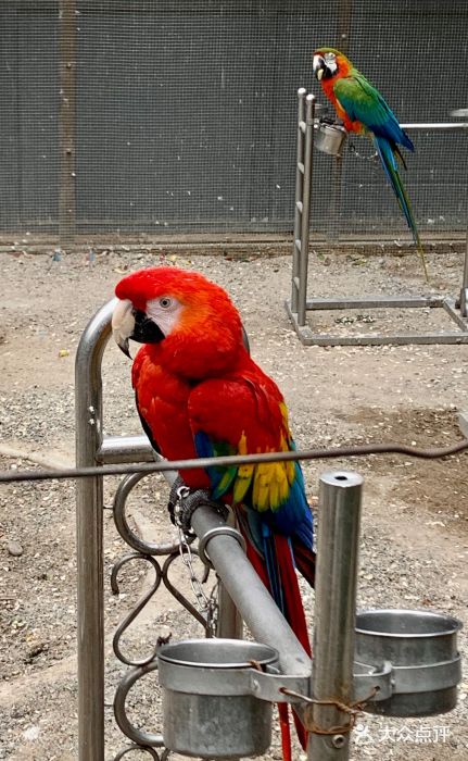 百鸟乐园-图片-北京亲子-大众点评网