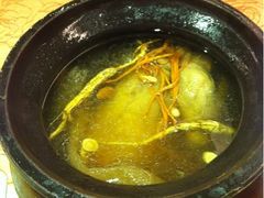 人参虫草花煨乳鸽-钱塘人家(南方休闲广场店)