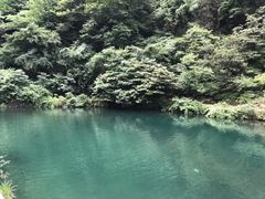 -白云源风景区
