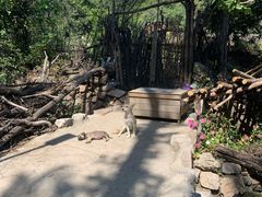 -大岭沟猕猴桃谷风景区
