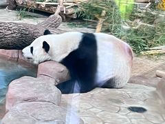 -南宁市动物园