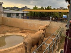 -西霞口神雕山野生动物世界