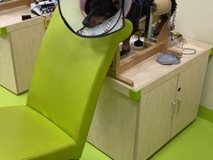-美联众合动物医院·24h转诊中心