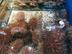 -海味当家·蒸锅海鲜(中山广场创始店)