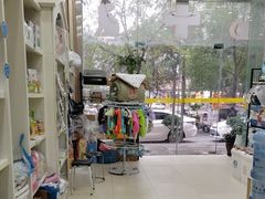 -米苏动物医院·犬猫专科·骨科外科内窥镜