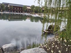 -诗经里