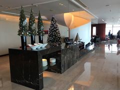 -上海龙之梦万丽酒店