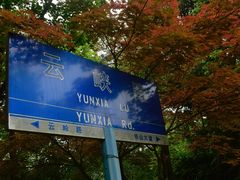 -铁山坪森林公园