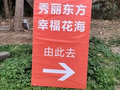 -秀丽东方