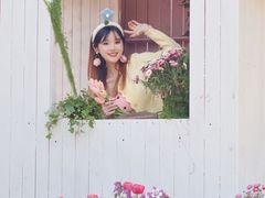 -上海鲜花港