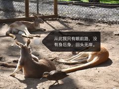 -可伦宾野生动物保护区