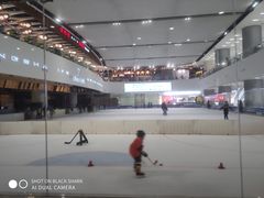 -TheRink大零溜冰场(IFS国金中心店)