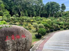 -三亚蜈支洲岛旅游区
