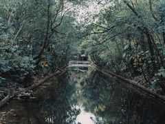 -上海滨江森林公园