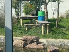-苏州太湖国家湿地公园