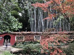 -望江楼公园