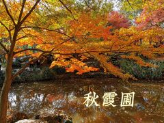 -秋霞圃
