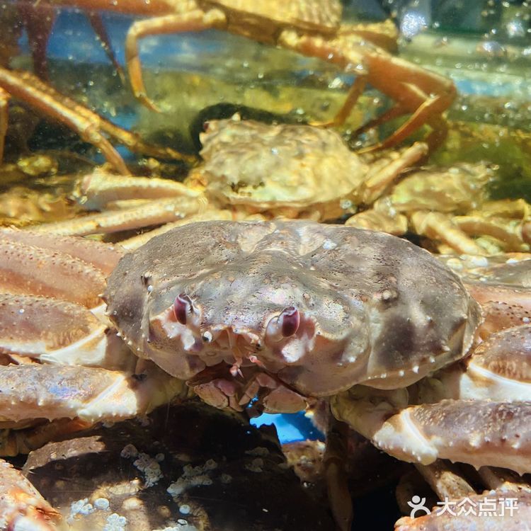徐记海鲜金都小份菜， 199元20选8