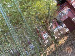 -戏马台景区