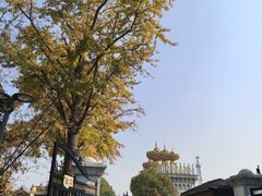 -上海东林寺(金山区)