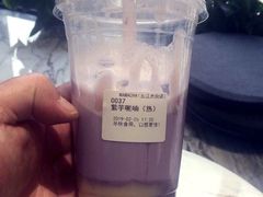 -MAMACHA妈妈茶(岳麓山店)