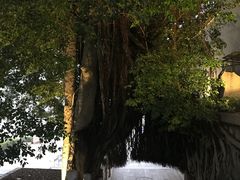 -乌山风景区