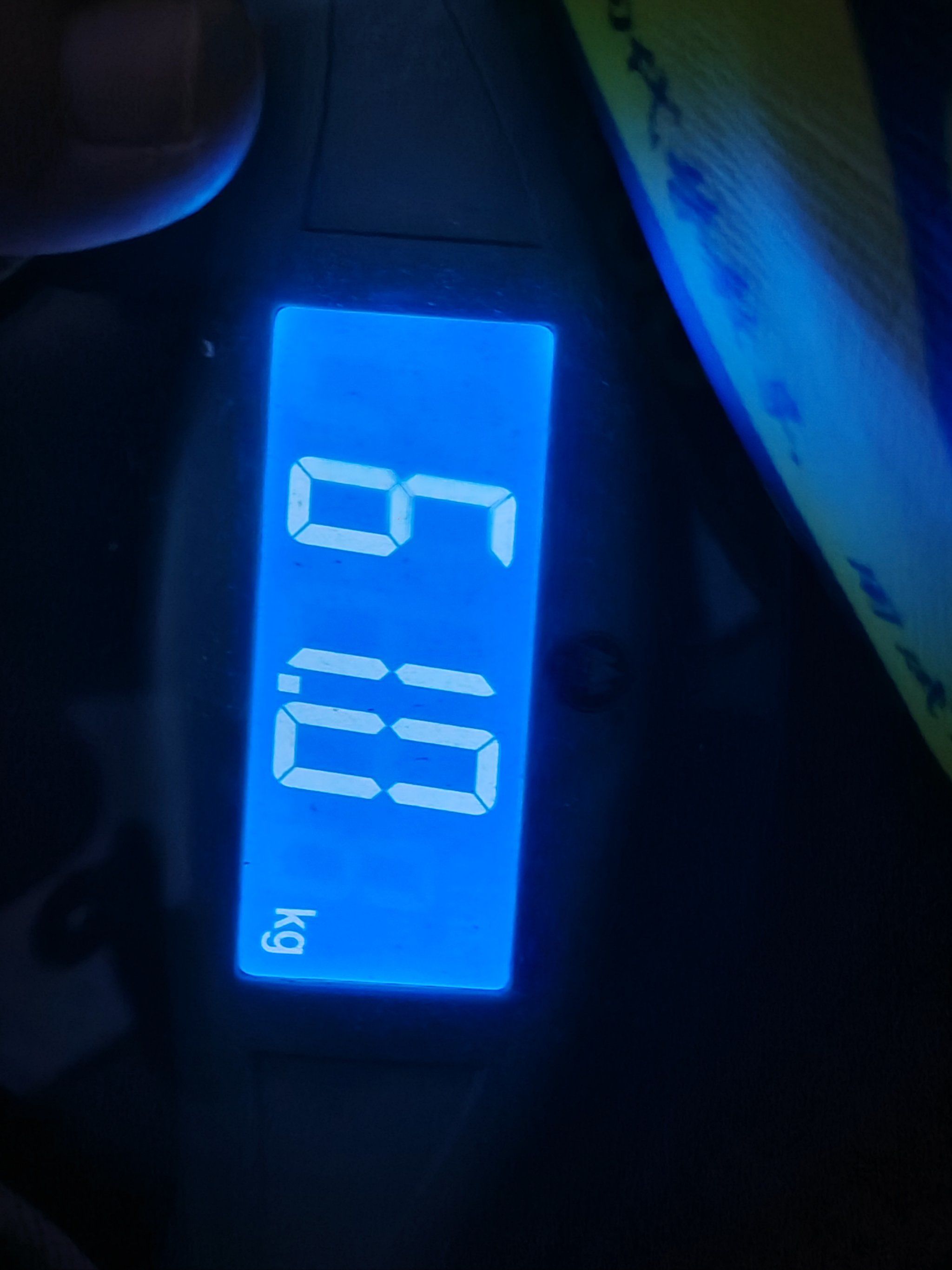 好久没量体重了,今天早上量量一下61公斤