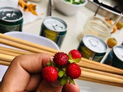 -枇杷园食为鲜火锅(南山店)