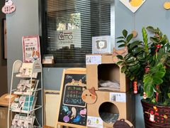 -御宝贝·A梦猫科宠物医院(国际猫友好医院)