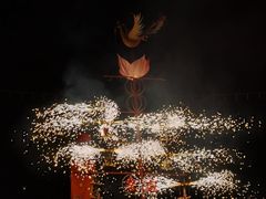 -武汉园博园(武汉自然博物馆)