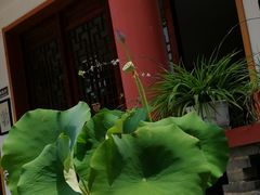 -龙湖东院农庄(乡间小路店)