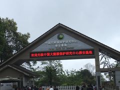 -中国大熊猫保护研究中心雅安碧峰峡基地