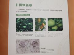 -上海中国航海博物馆