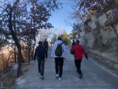 -北京鹫峰国家森林公园
