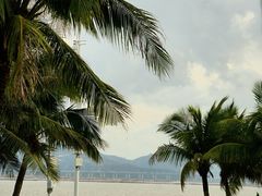 -深圳湾公园(南山区)