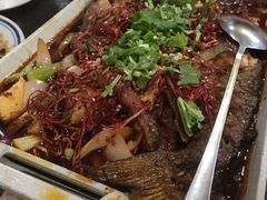 -福苗小骆驼烧烤(大唐不夜城店)