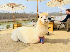 -天目湖涵田度假村