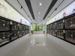 -翊宠yipet猫狗购宠庄园犬舍•猫舍