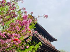 -西安青龙寺遗址景区