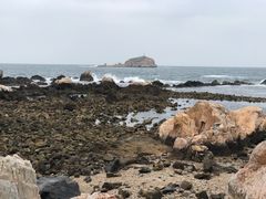 -养马岛旅游度假区