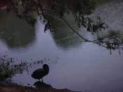 -瑶湖郊野森林公园